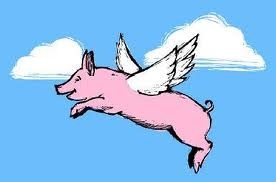 pigs-might-fly.jpg